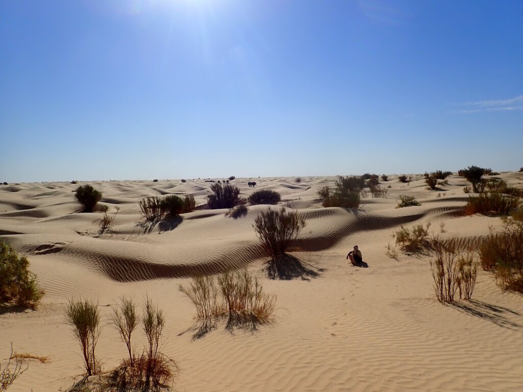 Sahara-grandeur